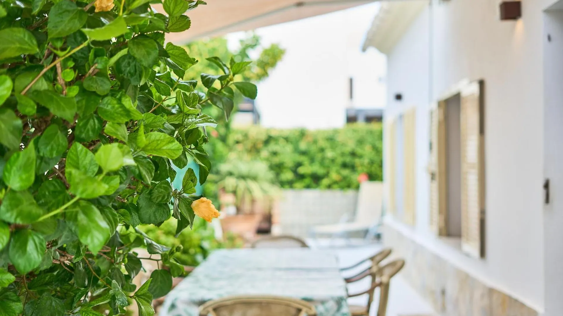 Villa Hibiscus Port de Pollença Spanien